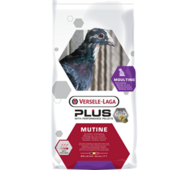 VL Mutine Rui plus ic+